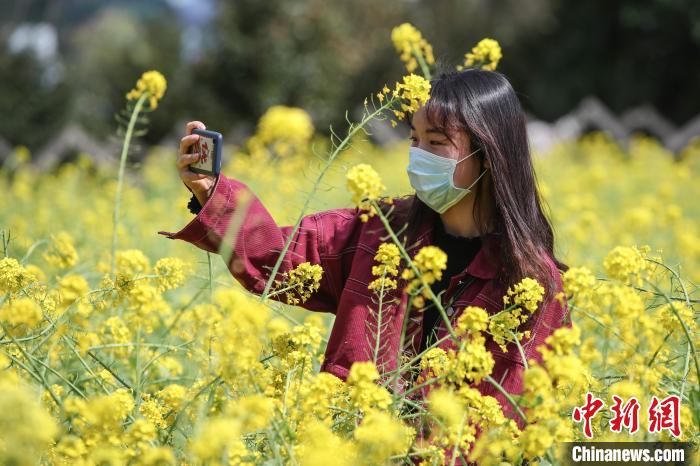 市民在油菜花丛中自拍。　瞿宏伦 摄