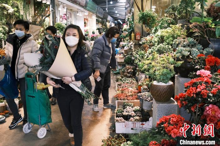 民众在上海虹桥花卉市场(虹井路店)选购鲜花。　殷立勤 摄